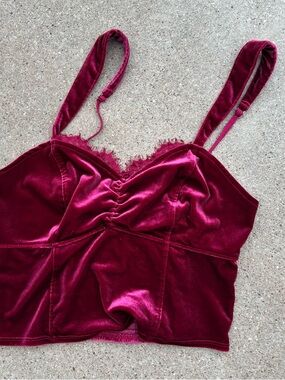 Abercrombie & Fitch Velvet Crop Top in Wine